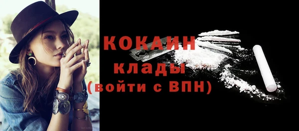 гидра Алексин