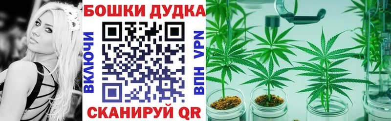 где купить наркоту Бакал MEGA ссылки Бошки марихуана конопля